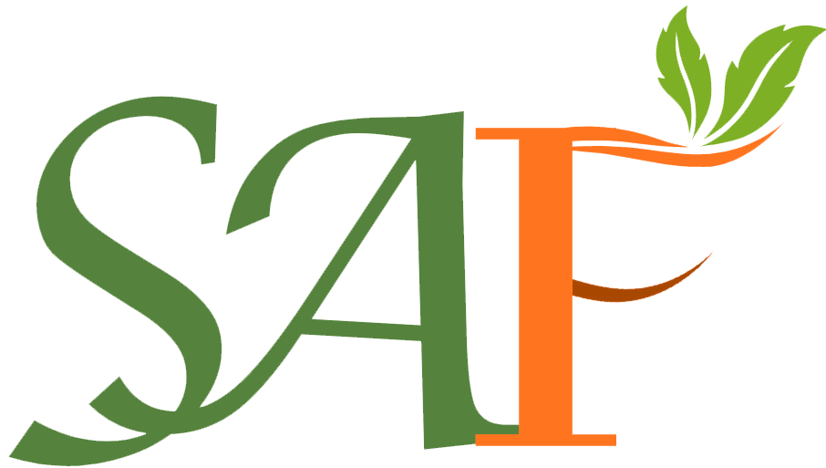 logo-section